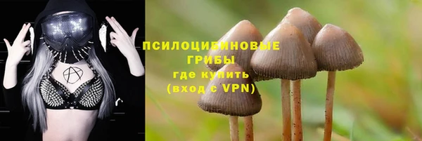 MESCALINE Верея