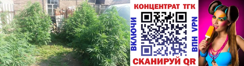 Купить закладки  Фролово  Дистиллят ТГК жижа 