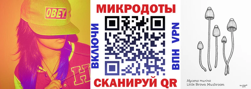 Купить где  Фролово  Псилоцибиновые грибы Psilocybe 
